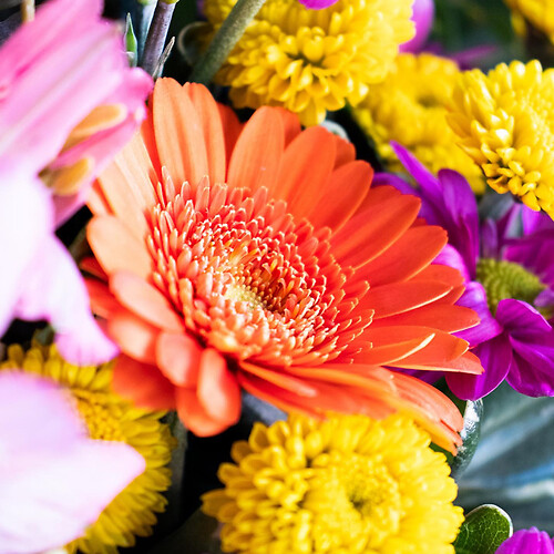 Large Wrapped Bouquet