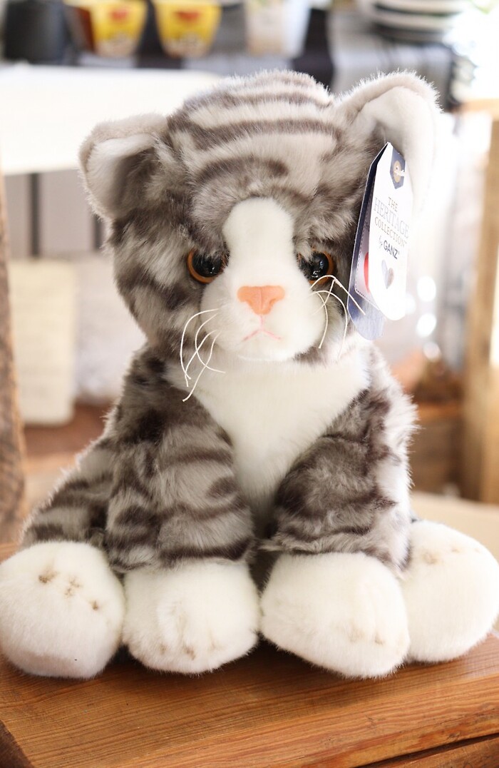 Cat Plush