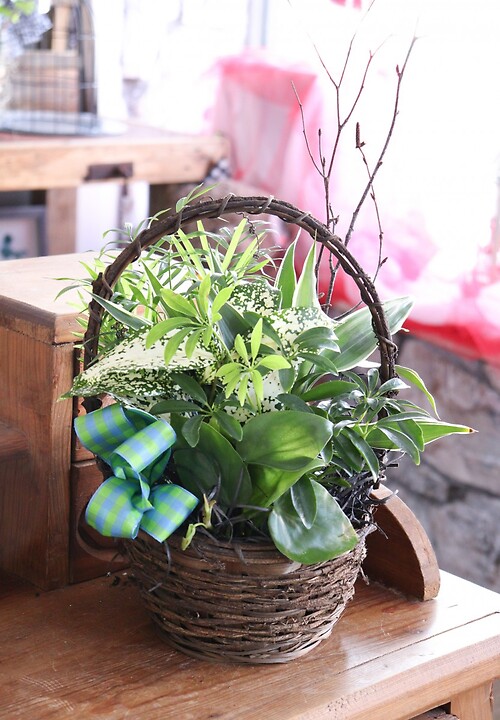 Small Planter Basket